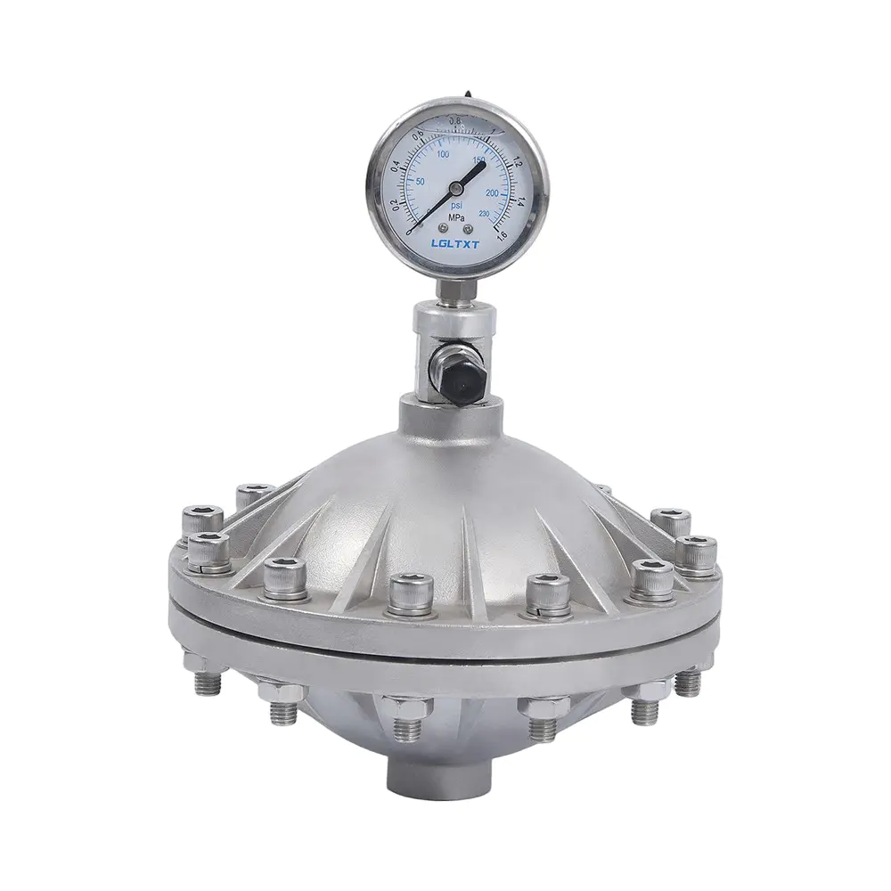 Pulsation Dampener for Air-Operated Diaphragm Pump Discharge